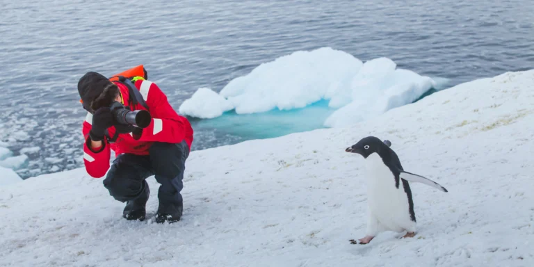 Adventure Tourist’s Guide To Antarctica